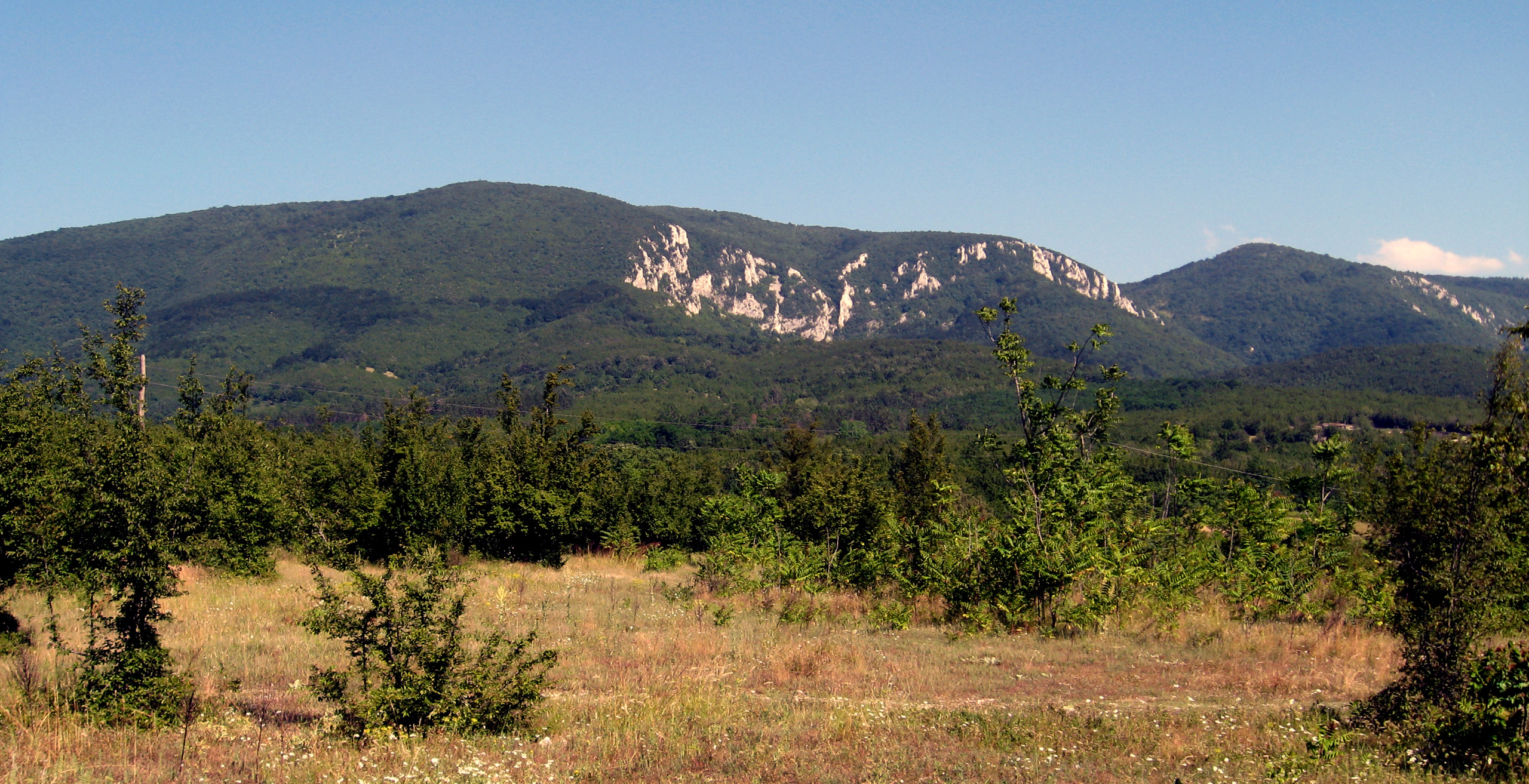 slika