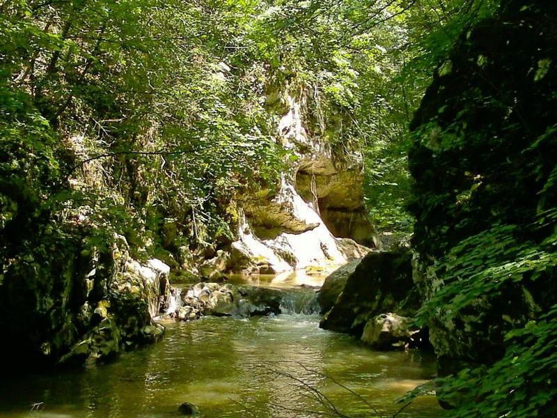 slika