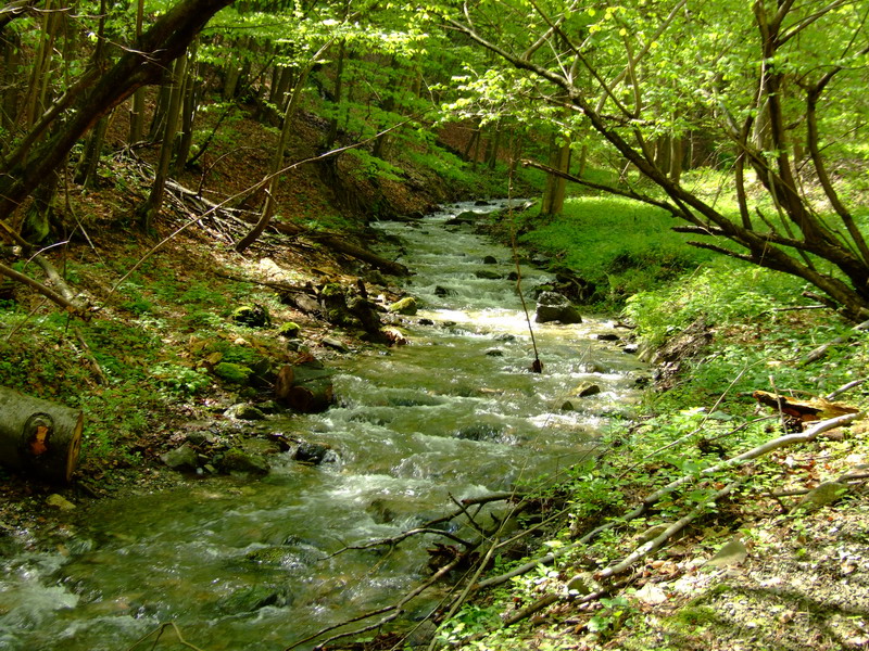 slika